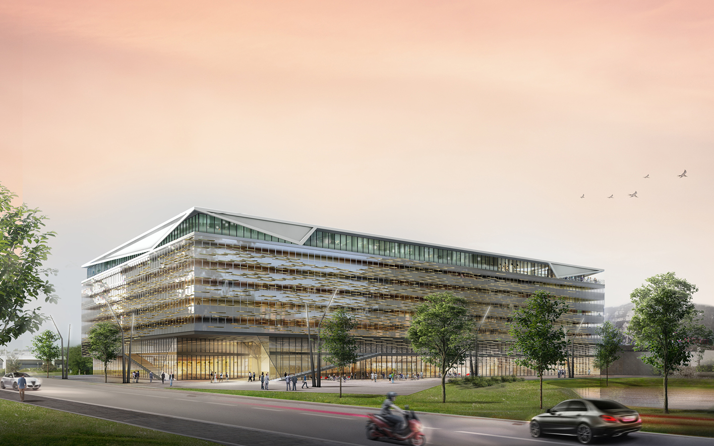 PAGESWEB-RZS2021061163